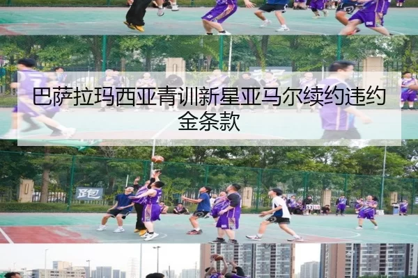ba-sa-la-ma-xi-ya-qing-xun-xin-xing-ya-ma-er-xu-yue-wei-yue-jin-tiao-kuan-1-302.jpg